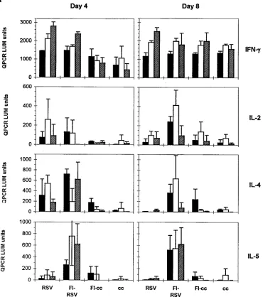 FIG. 2. Expression of IFN-�, IL-2, IL-4, IL-5, IL-10, IL-12, and IL-13 mRNAs in BAL cells from RSV-infected BALB/c mice