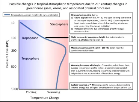 Figure 1.1:  Schematic of GCM ensemble mean temperature change profile (blue curve) and the associated physical processes 