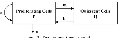 Fig. 2. Two compartment model 