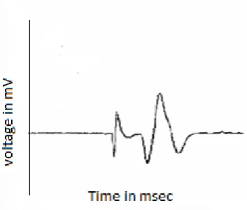 Fig. 6. It mainly consists of four stages: ENG database, 