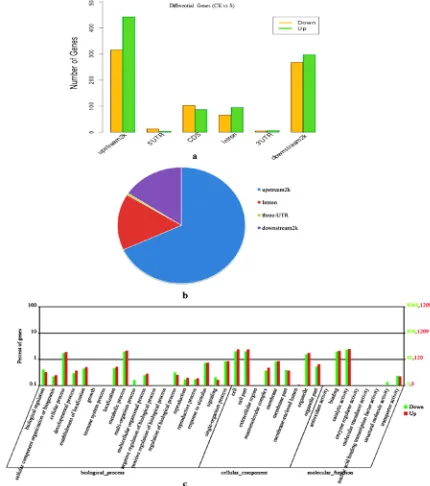Figure 4. Analysis of differentially methylated regions (DMRs) between the control (CK) and salt-stressed (S) samples
