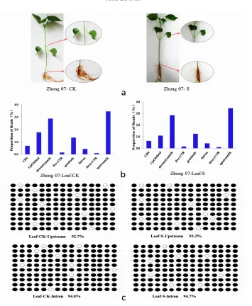 Figure 1. Validation of MeDIP-seq data by bisulfite sequencing. a. Morphological changes in the leaves of the salt-stressed plants compared with the control plants
