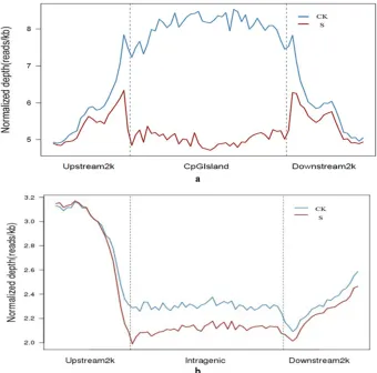 Figure 3. Distribution of reads around CpG islands and gene body. figure reflects the methylation level around CpG islands (a, control; b, treatment)