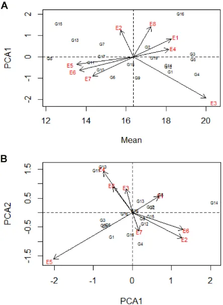 Figure 1. Graphical representation of the scores of the AMMI1 (A), and AMMI2 (B) models for the TPH trait in the first harvest of 19 genotypes evaluated in eight environments in the 2009/2010 crop.