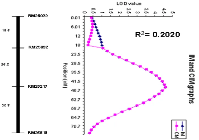 Table 2. Putative QTLs for rice salt tolerance at seedling stage in F2 population derived from                  BRRI dhan40 and IR61920-3B-22-2-1 (NSIC Rc106)