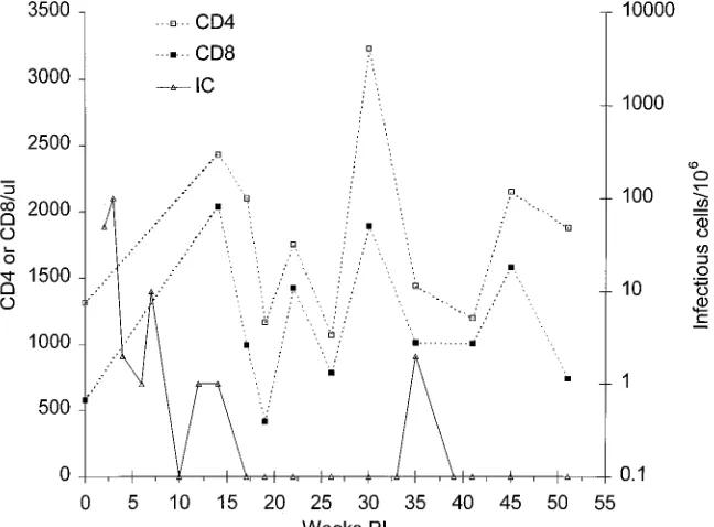 FIG. 1. Passage of SHIV in macaques.