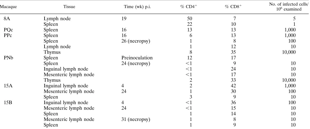 FIG. 3. Frequencies of infectious cells (IC) and CD4� cells in peripheralblood from passage 2 animals