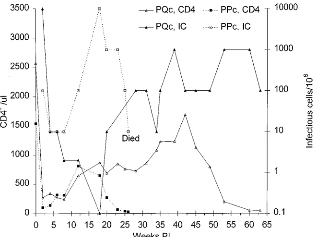 FIG. 5. PCR ampliﬁcation of DNA from infected macaques. (A) Total cel-lular genomic DNA was extracted from splenic tissue of pig-tailed macaques PPc