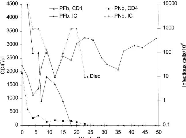 FIG. 7. Frequencies of infectious cells (IC) and CD4� cells in peripheral blood from passage 4 animals