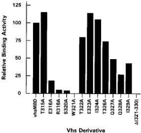 FIG. 4. Tryptophan 331 in the vhs minimal binding domain is essential for interaction with VP16 in vitro