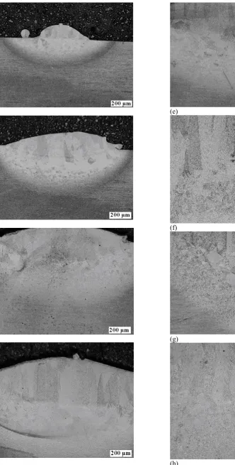 Figure 4: The Macrographs of Samples A to H: (a) to (d) Showing Deposit area, Fusion Zone and Substrate of     Sample A to D (e) to (h) Showing part of the deposit area, the fusion zone and the substrate of samples E to H