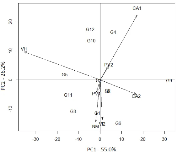 Figure 2. AMMI2 biplot for the first principal component of the interaction (PC1) x second principal component of the interaction (PC2) for grain yield of 12 soybean genotypes evaluated in 7 environments belonging to REC 402, Brazil.