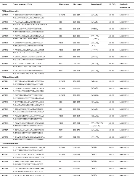 Table 1. Characteristics of 33 newly developed microsatellite loci in M. flavigula in the four PCR multiplexes 