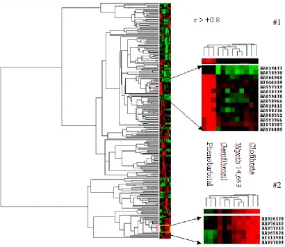 Figure  2.3.  Two-way hierarchical cluster analysis of validated gene expression profiles