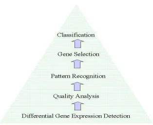Figure 2.5. Simplified model for the gene expression classification and prediction 