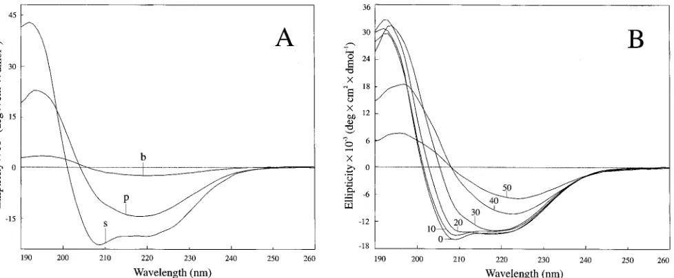 TABLE 3. Effects of acetonitrile on the infectivity of the supernatant after solubilization centrifugation and on the secondary structureas determined by CD spectroscopya