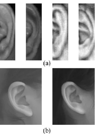 Fig. 4. (a) Samples from the IITD II dataset [11]. (b) Samples from the  USTB II dataset [12]