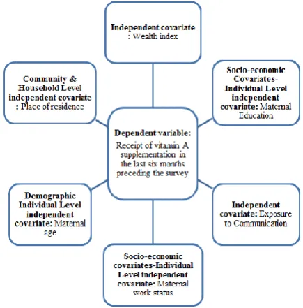 Figure 1: Conceptual framework. 