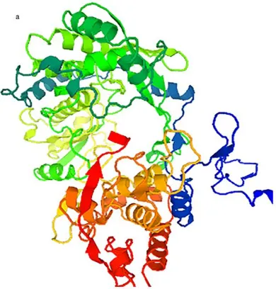 Figure 1c. Three dimensional protein model from classical swine fever virus (CSFV) 
