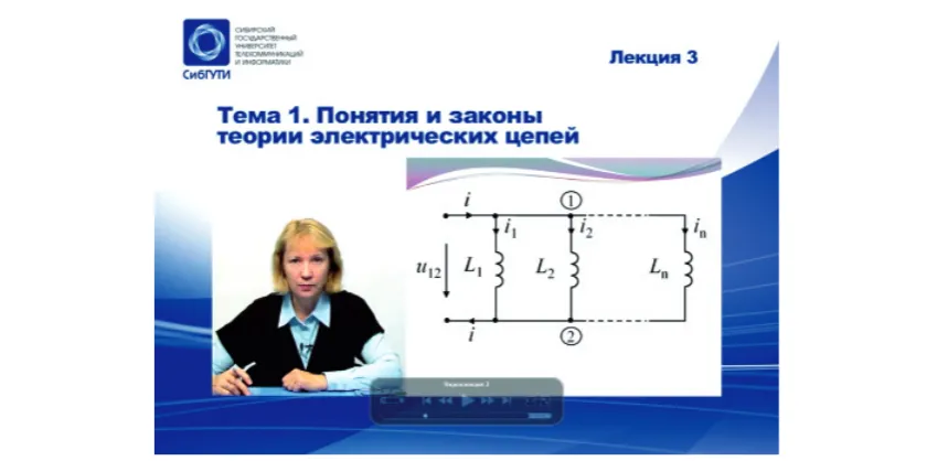 Fig. 1. Screenshot of the studio video lecture on the PC monitor