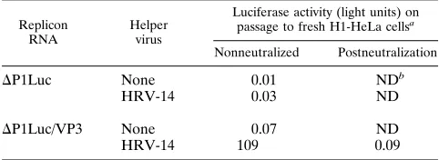 TABLE 2. Encapsidation of candidate replicon RNAs byHRV-14 helper virus infection