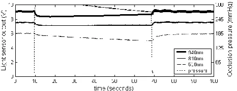 Fig. 6.  Light transmission through a sheep ear. 
