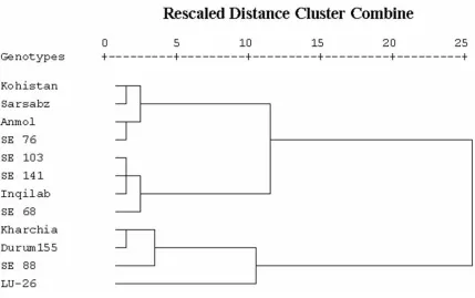 Figure 2. Hierarchical cluster analysis of wheat genotypes based on salt tolerance indices