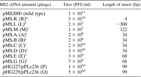 FIG. 2. Revertants obtained from mutants containing insertions in the 3�of the A-protein gene