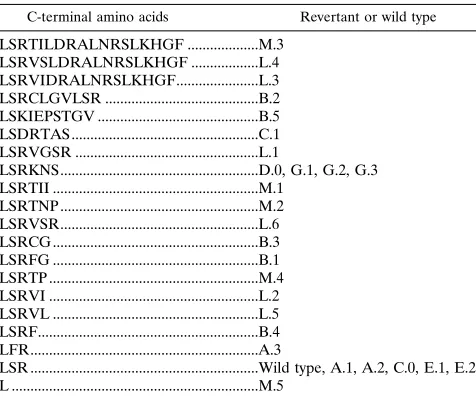 FIG. 9. Linear representation of the starting mutants E.0 and G.0 and of the emerging revertants