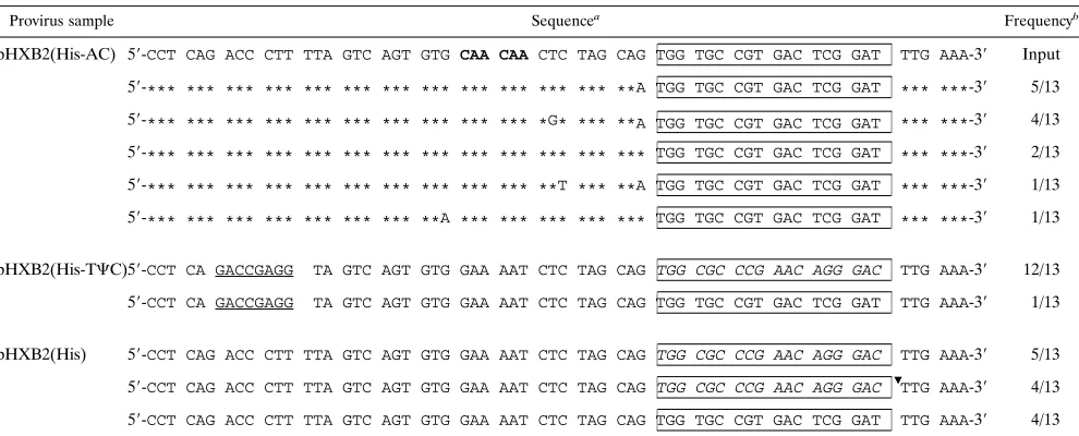 TABLE 1. Sequences of the PBS region of proviruses isolated at day 9 postcoculture