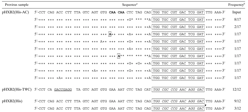 FIG. 5. Kinetics of replication of the infectious virus. SupT1 cells were infected with equal amounts (approximately 100 ng/ml) of virus isolated after 5 or 10 serialpassages