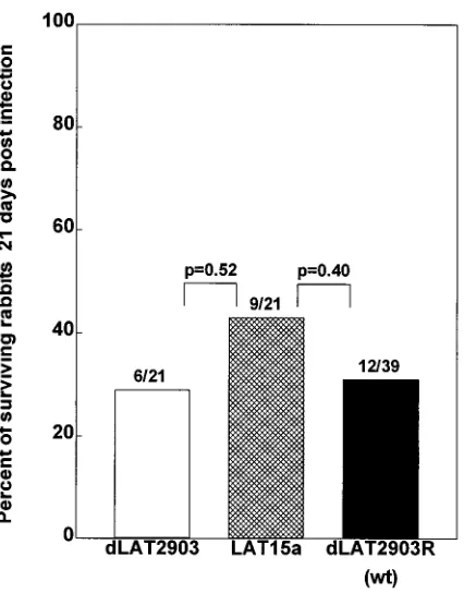 FIG. 3. Virulence of LAT15a. Rabbits were infected ocularly as described inMaterials and Methods