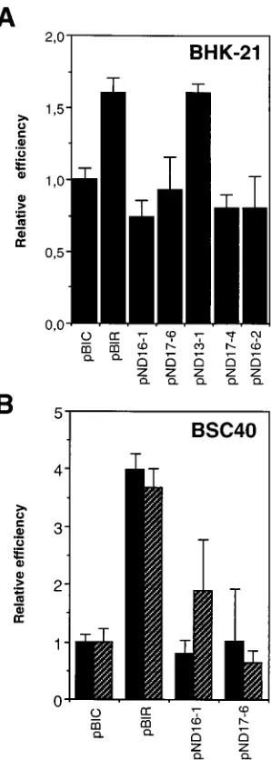 Fig. 1) were transfected into BHK-21 cells previously infected with vTF7-3. Cellextracts were prepared 18 and 24 h after serum addition, as detailed in Materialsand Methods