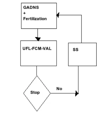 Fig. 1.NGO Structure