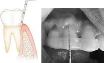 Fig. 2. Architecture of the partial-mouth examination system 