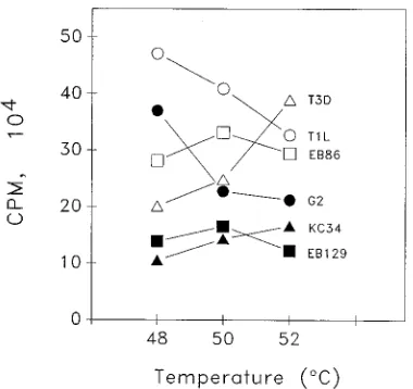 FIG. 2. Transcriptase activities of T1L, T3D, and selected T1L �sortant cores at 48, 50, and 52clones were assayed for transcriptase activities at the indicated temperatures asdescribed in the legend to Fig