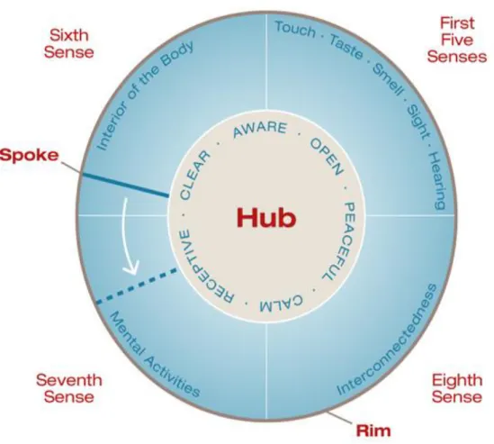 Figure 2.2: The Wheel of Awareness (Siegel 2007) 