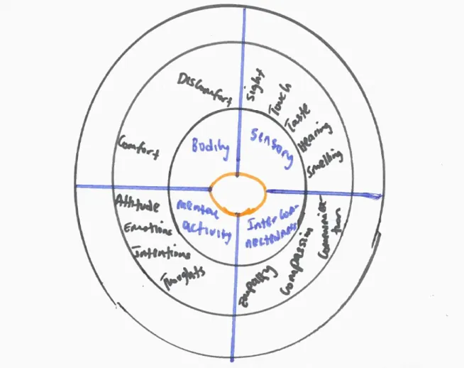 Figure 4.1: Wheel of awareness for the thematic analysis  
