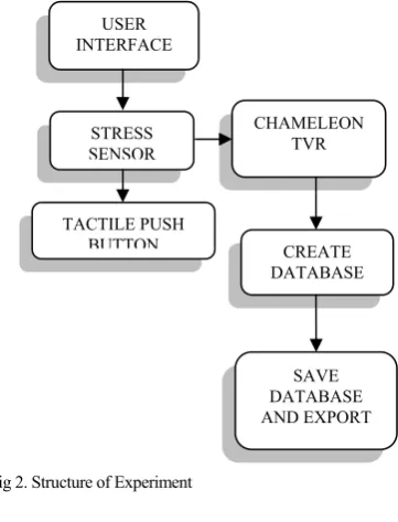 Fig 2. Structure of Experiment 