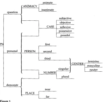 Figure 1 Winograd's pronoun network. 