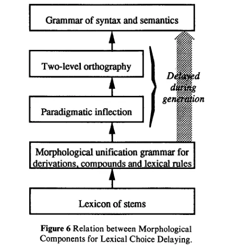Figure 6 Relation between Morphological Components for Lexical Choice Delaying. 