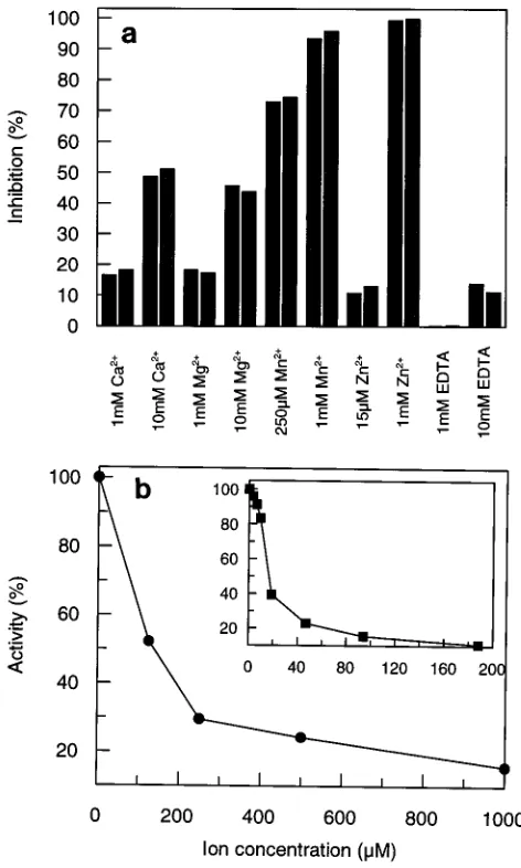 FIG. 3. (a) Substrate speciﬁcity of E0 RNase activity. The assays were per-formed as described for Fig