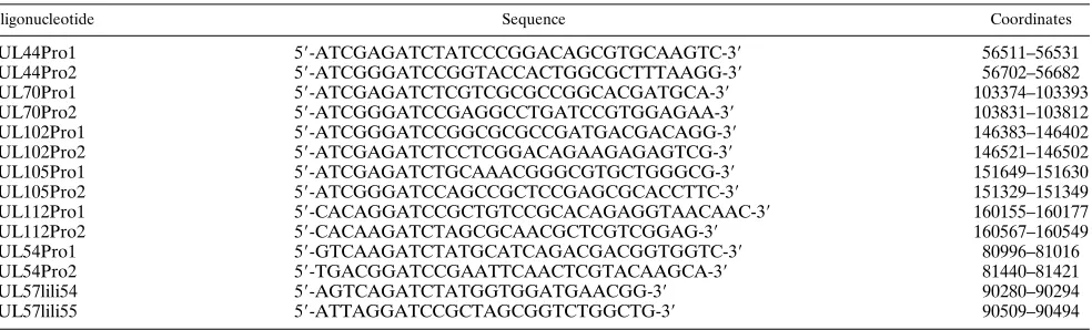 TABLE 2. Synthetic oligonucleotides for PCR