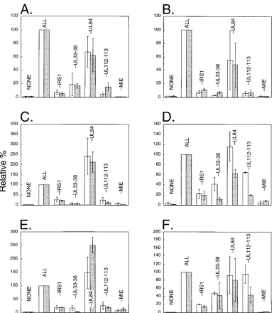 FIG. 3. Multiple early HCMV promoters are cooperatively activated by this set of loci