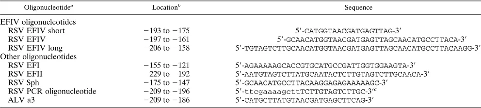 TABLE 1. Names, locations, and sequences of LTR-speciﬁc oligonucleotides