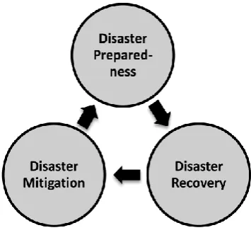Fig. 1: Disaster risk management processes 