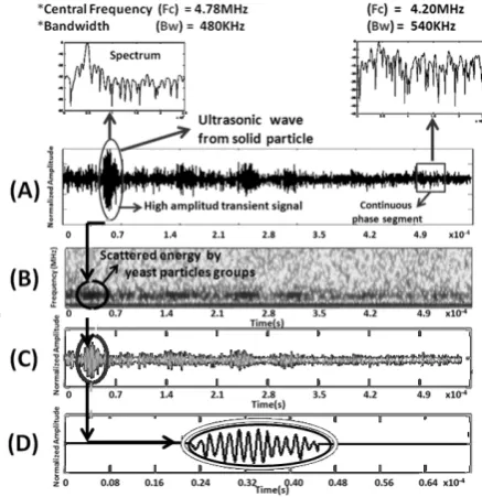 Fig. 2.Detection by Run Test analysis. (A) Description of an ultrasoundbackscattering signal from a liquid mixture of sugarcane juice and yeast onmechanical agitation