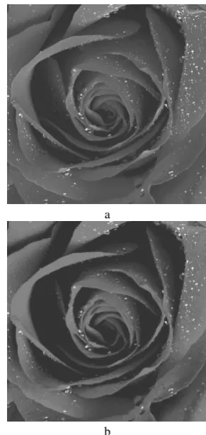 Figure 2 – Results of simulation of high-speed fractal  compression: a – original image; b – image restored  after encoding by the proposed method 
