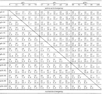 FIG. 4. Consensus amino acid sequence and sequence divergency among the 15 BDV p24 clones