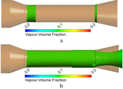 Figure 10 – The vapour volume fraction distribution  